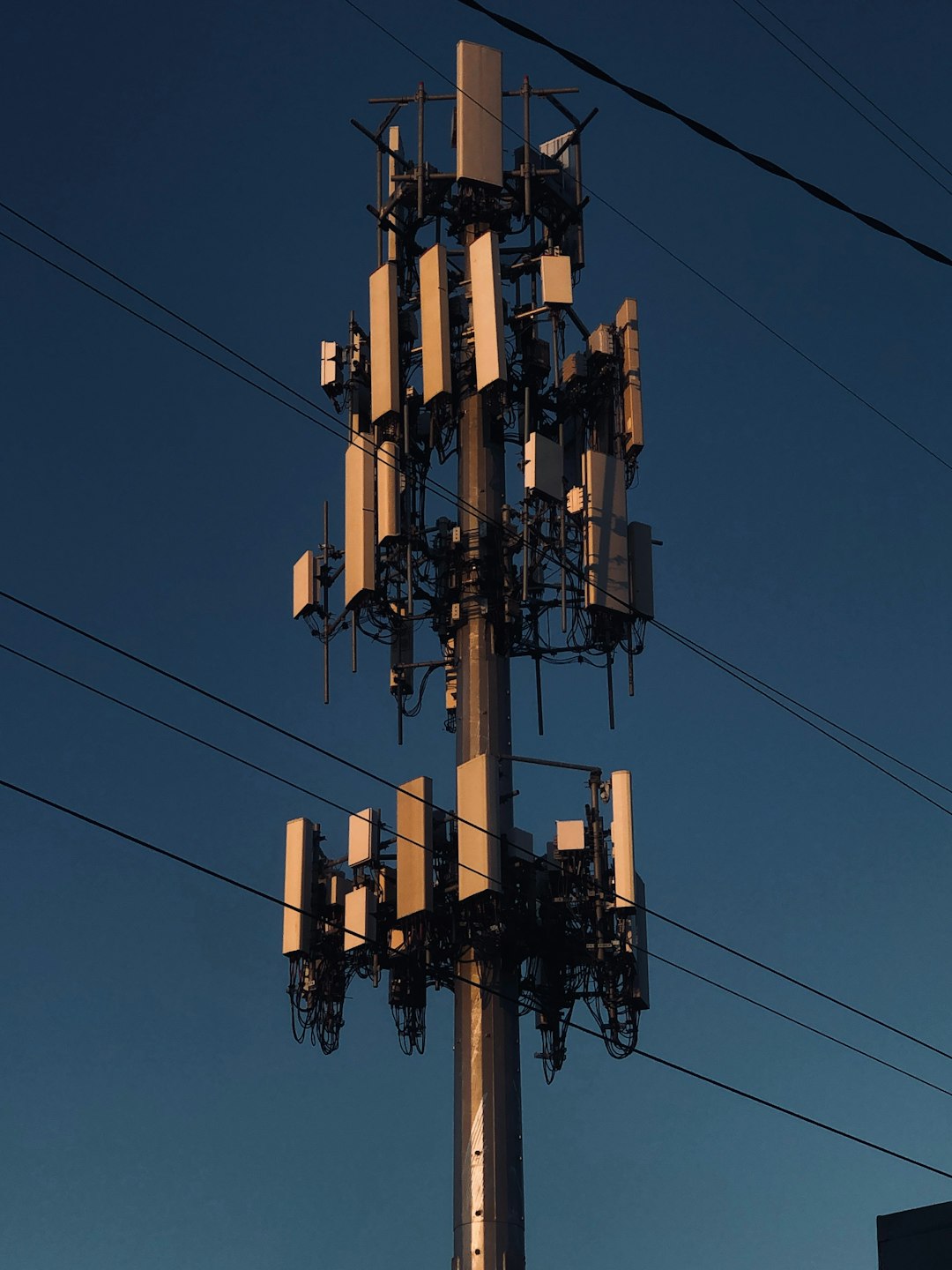 A tall pole with many cell phones on it